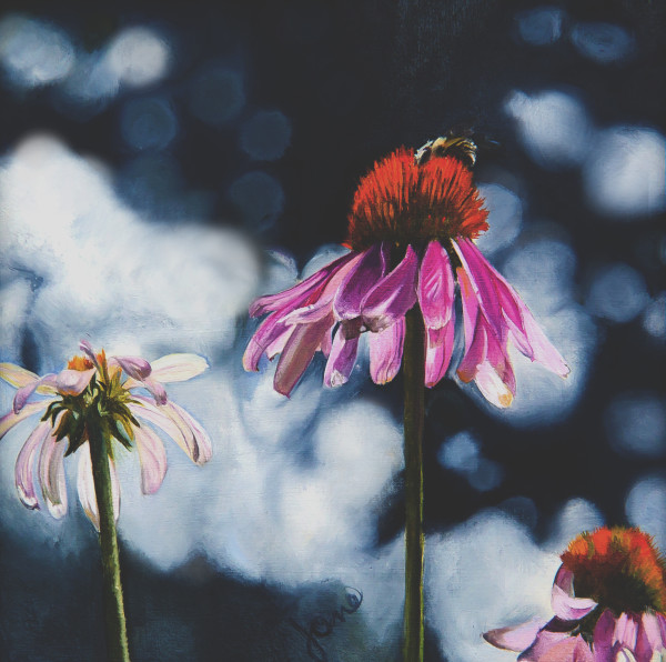 Echinacea and a Bumble Bee by Nila Jane Autry