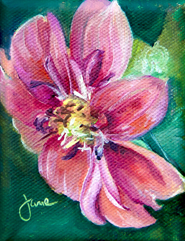 Peachy Zinia by Nila Jane Autry