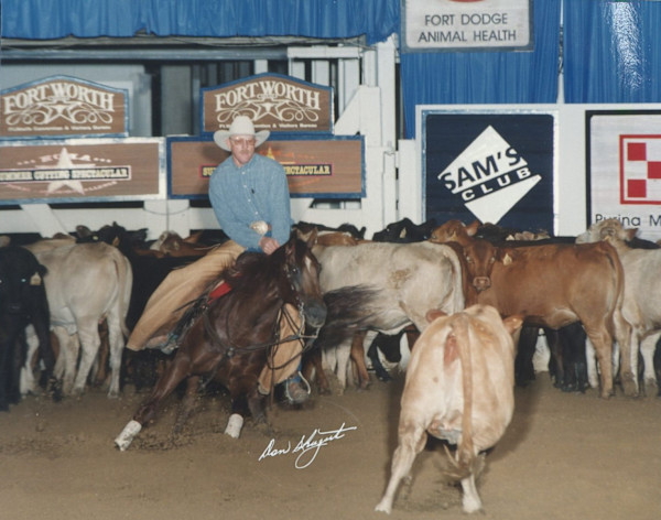 Peppy Little Jaybird