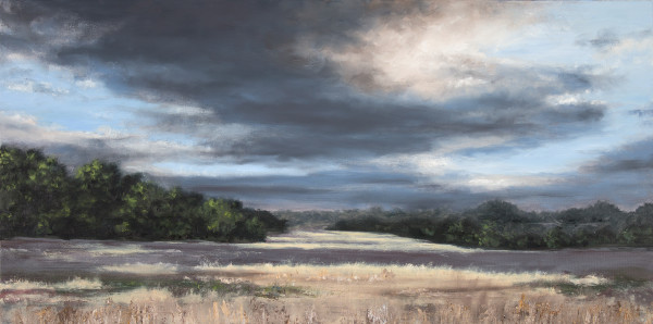 Late Afternoon Meadow by Jill Poyerd