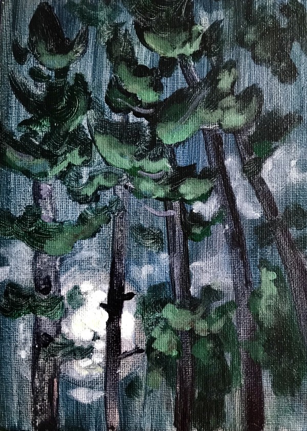 Moonlight and Pines by Angela St Jean