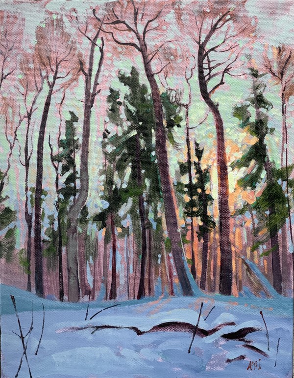 Late Winter Morning, Old Growth Trail - Shaw Woods by Angela St Jean