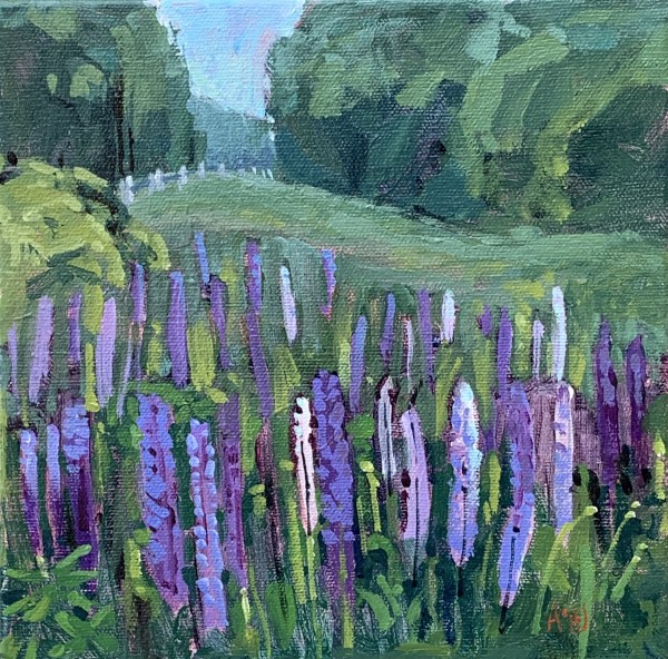Lupins, Summer by Angela St Jean