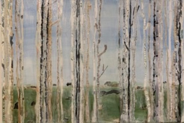 Birches by heidi matherne, Image 1.