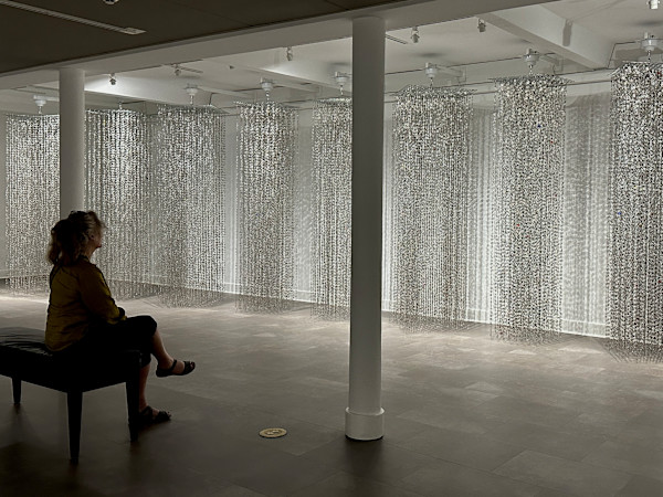 Shimmer Cycle by Virginia Fleck, Image 5.