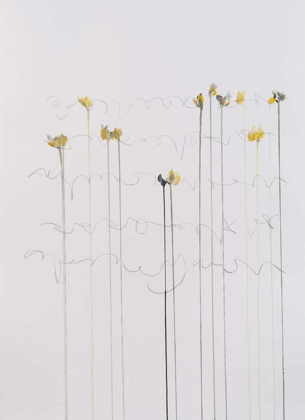 IIWAM 145, Image 18.