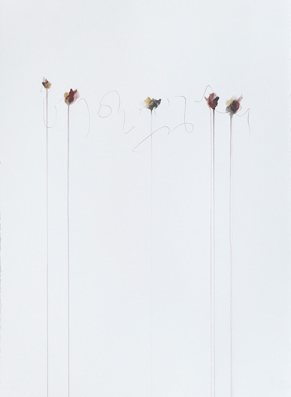 IIWAM 180 a, Image 1.
