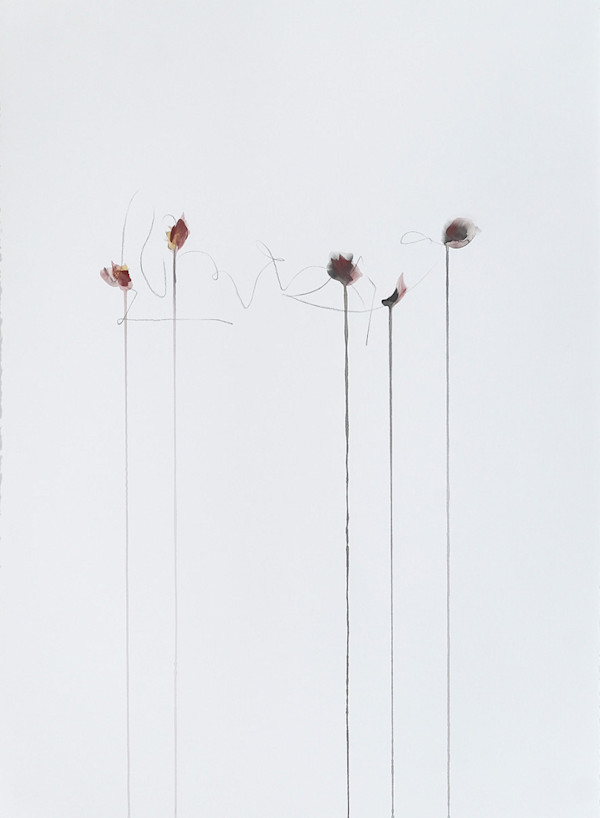 IIWAM 180 b, Image 1.