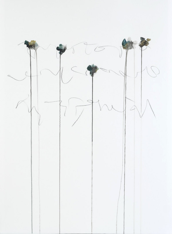 IIWAM 188 a by Lisa Ochowycz, Image 1.