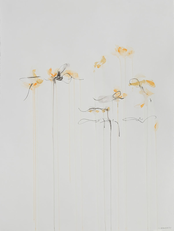 IIWAM 72 b, Image 1.
