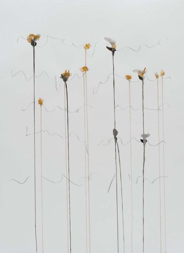 IIWAM 82 b by Lisa Ochowycz, Image 3.
