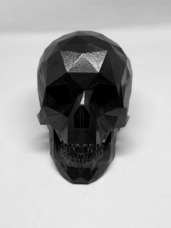 After Life Skull - Ivory Black by Angie Jones