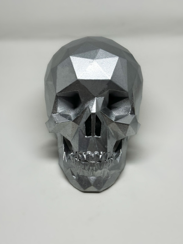 After Life Skull - Shimmering Silver by Angie Jones