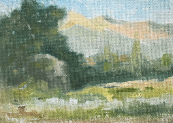 The Meadow at Santa Barbara Garden by Curtis Green