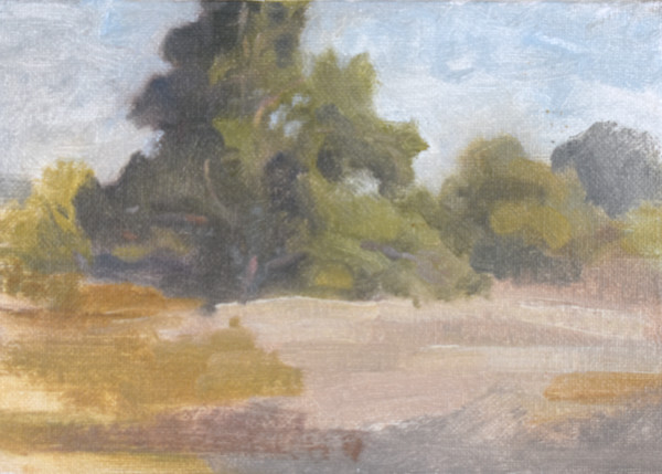Afternoon Meadows at Madrona Marsh by Curtis Green