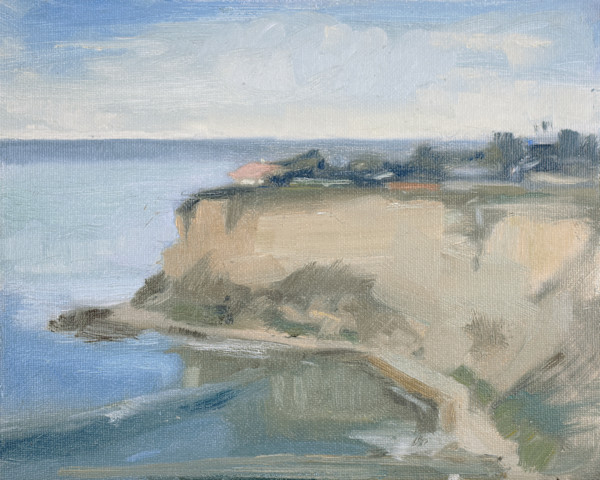 Pink Roof Lunada Bay by Curtis Green