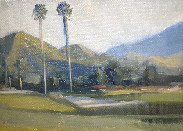 Palm Desert at Dusk by Curtis Green