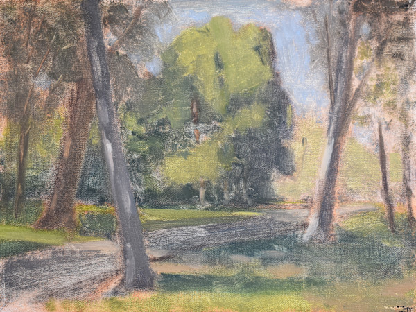 Path at Central Park by Curtis Green