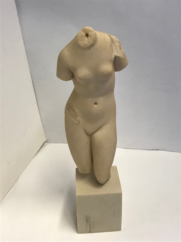 Venus Torso, Image 5.