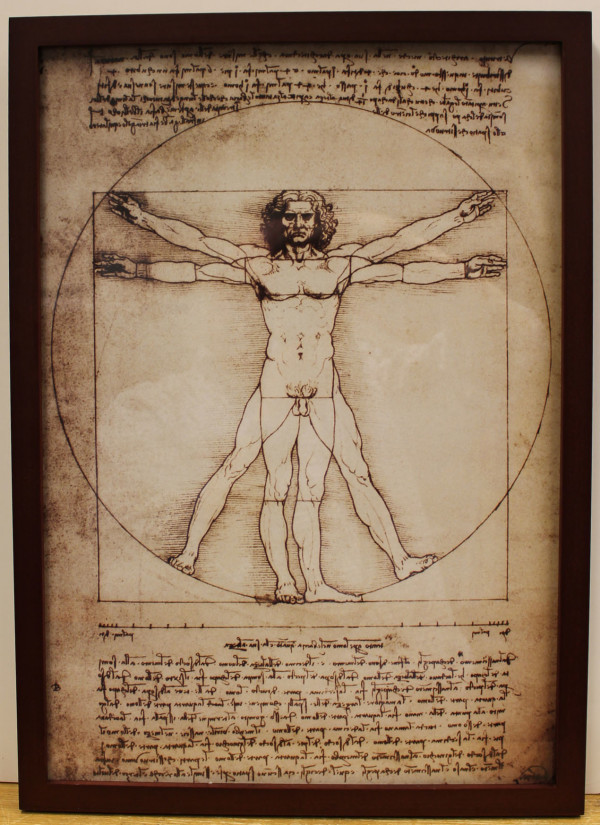 Vitruvian Man by Leonardo da Vinci
