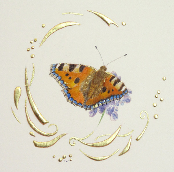 Small Tortoiseshell by Toni Watts