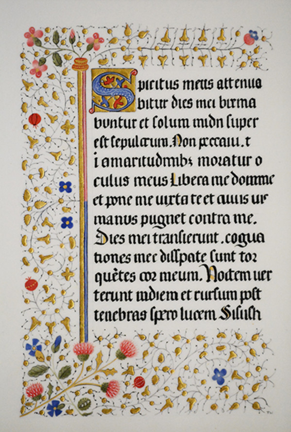 Page from Lincoln Cathedral MS302 by Toni Watts