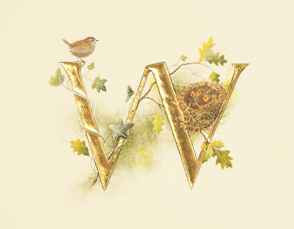 W is for Wren by Toni Watts