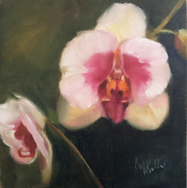 Orchid Faces by Madeleine Kelly