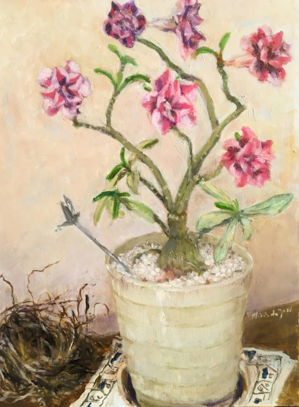 Desert Rose and Birds Nest by Miranda Free