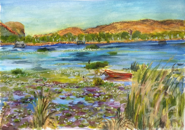 Lily Creek Lagoon Kununnurra by Miranda Free