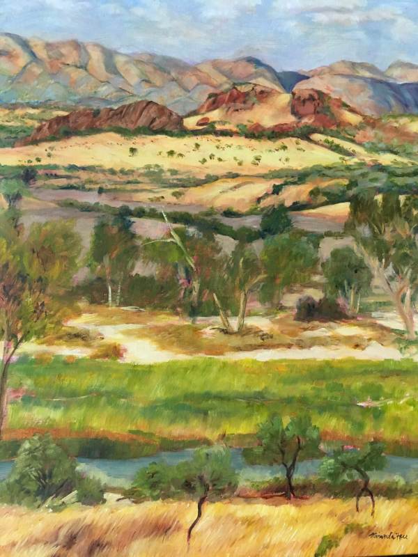 After Rain West MacDonnell Ranges by Miranda Free