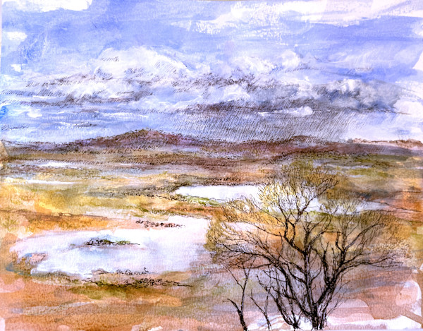 Distant View Goldfields 1 by Miranda Free, Image 7.