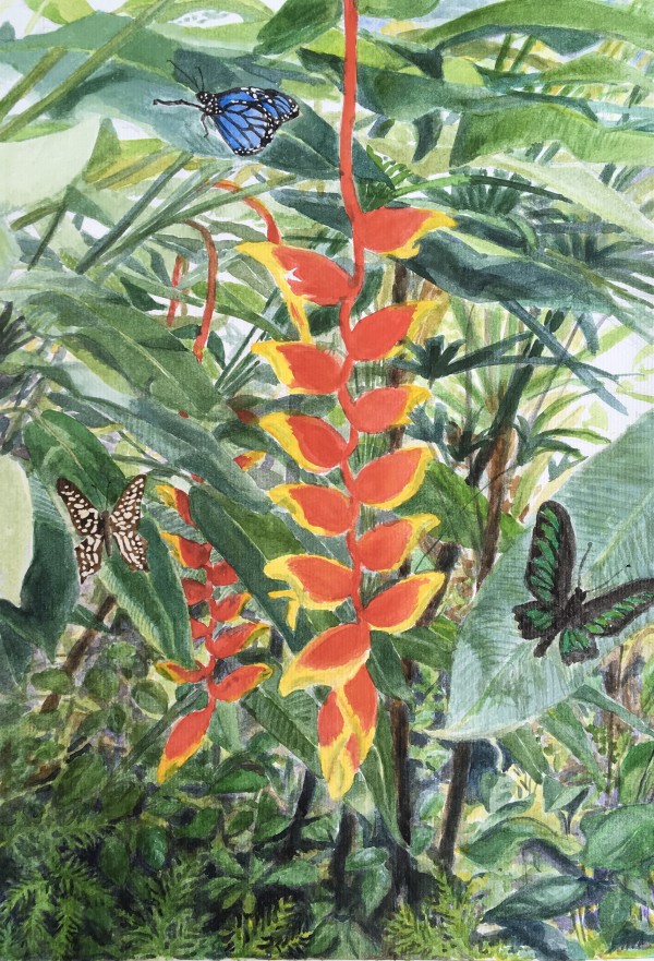 Heliconia and Butterflies by Miranda Free