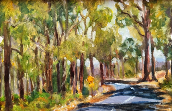 Five km to Nannup by Miranda Free
