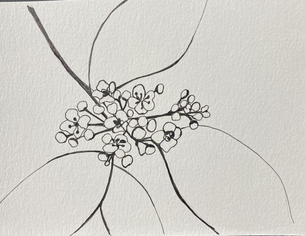 27th Ave Memoriae Botanicum #5515 by A-M Petersons