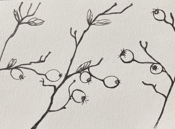 27th Ave Memoriae Botanicum #5708 by A-M Petersons