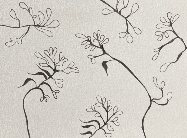 27th Ave Memoriae Botanicum #5735 (Collection #6) by A-M Petersons