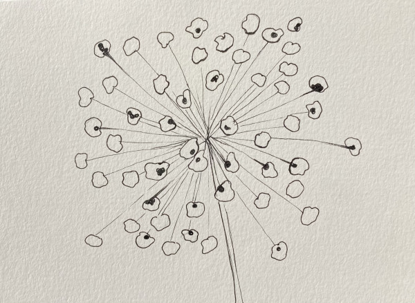 27th Ave Memoriae Botanicum #6210 by A-M Petersons