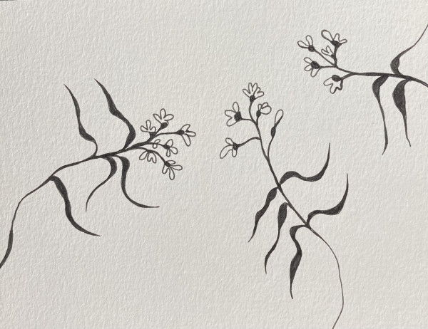 27th Ave Memoriae Botanicum #6239 (Collection #5) by A-M Petersons