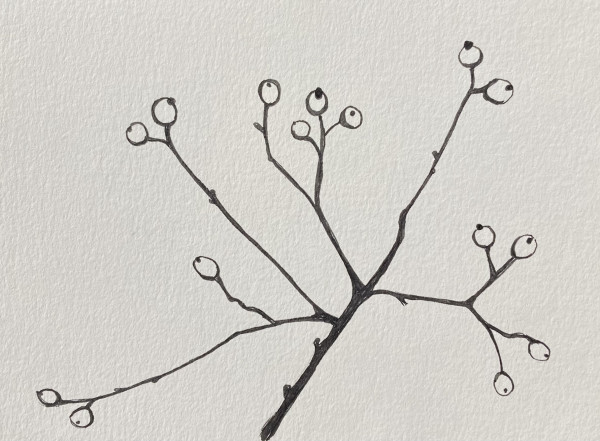 27th Ave Memoriae Botanicum #6525 (Collection #4) by A-M Petersons