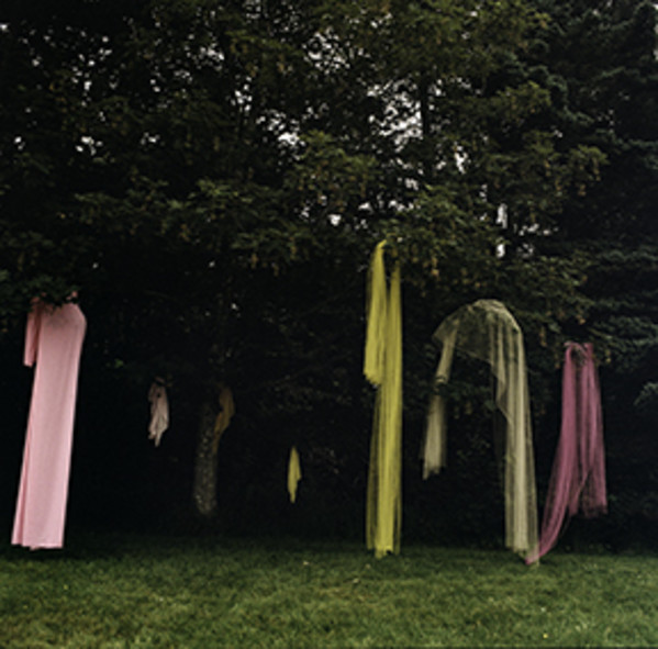 the weight of light by Alethea Robbins