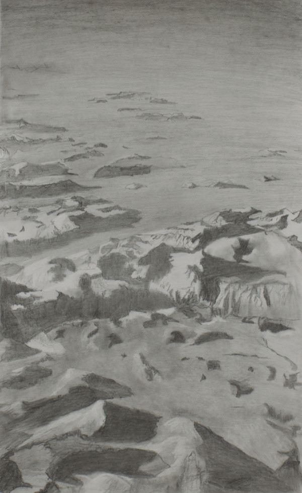 Flying Home by Ann Cronin, Image 2.