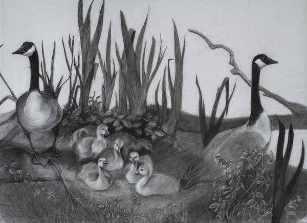 Guardian Geese - Drawing by Kathy Roseth