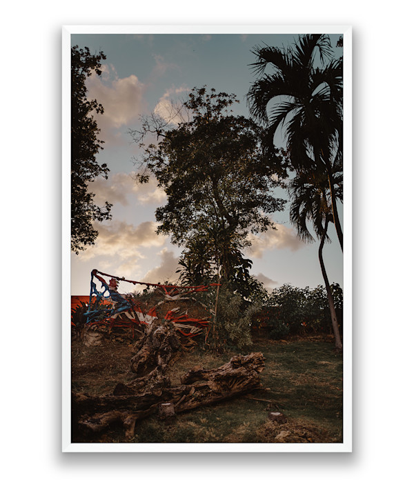 Boricua Resistance by Jo Cosme