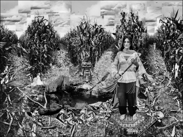 Corn Maze    (framed) by Dorothy Anderson Wasserman