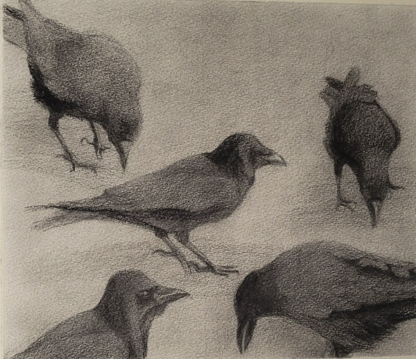 Crow study by Kathy Roseth