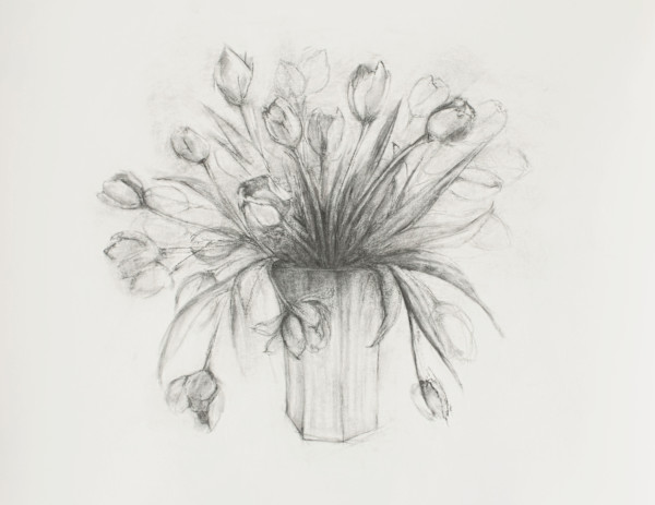 Tulips by Danielle S. Murphy, Image 15.