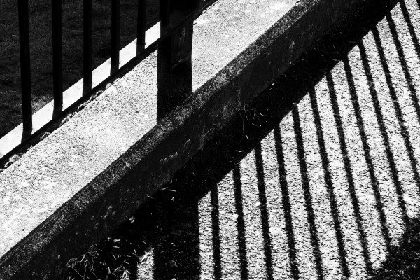 Fence by Devin Gaan