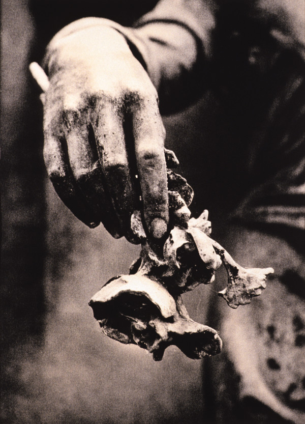 Hand with Flower by Maylee Noah