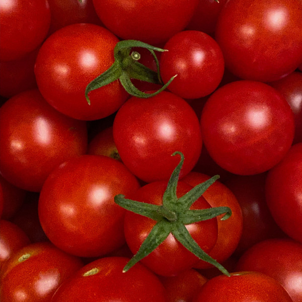 Cherry Tomatoes by Maylee Noah
